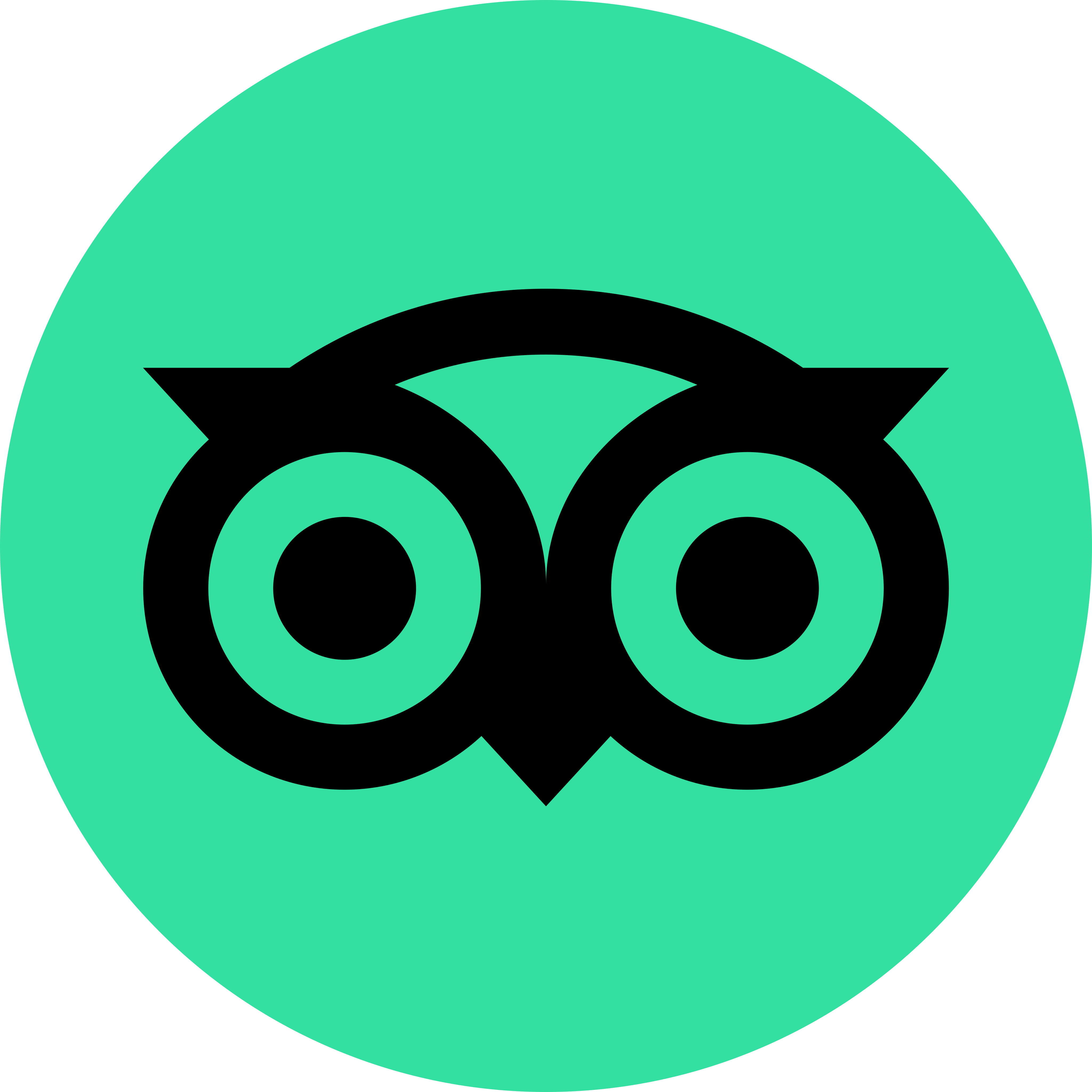 Tripadvisor